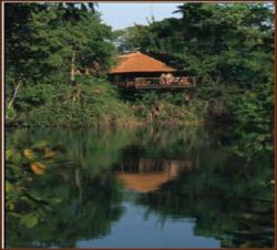 Unterk�nfte - Lunga River Lodge (Wilderness Safaris)